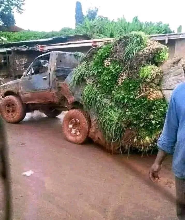 Shaibu Omeiza Shaibu